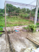 খাঁচা (cage)